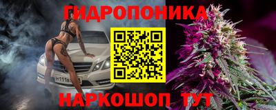 стаф Краснокаменск